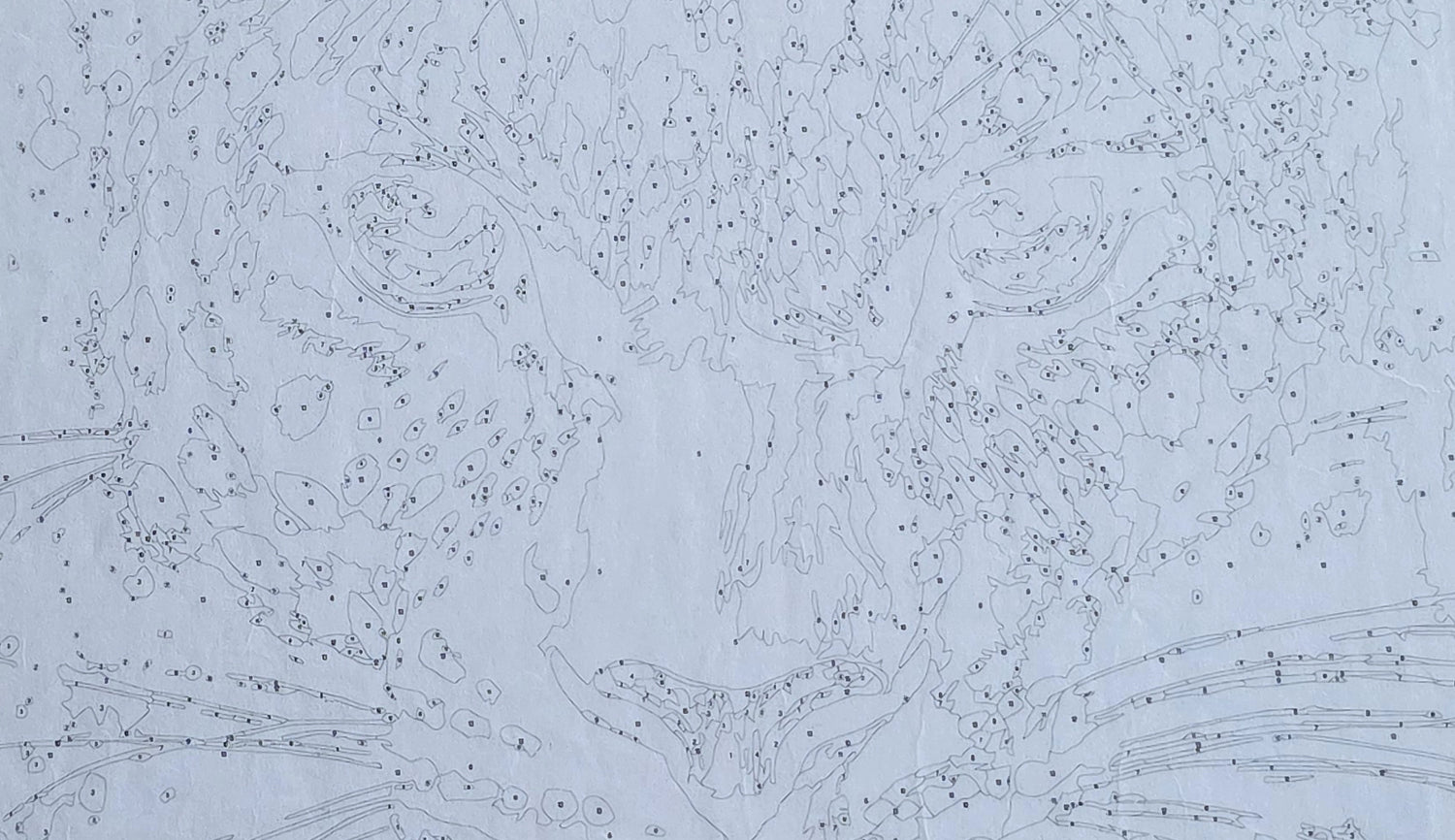 Peinture par numéro toile numérotée léopard