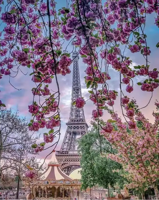 Arbres en fleur et Tour Eiffel