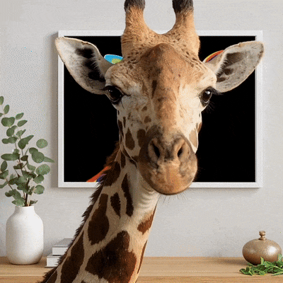 peinture par numéros girafe pop art tableau mural vidéo gif