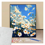 Champs de marguerites