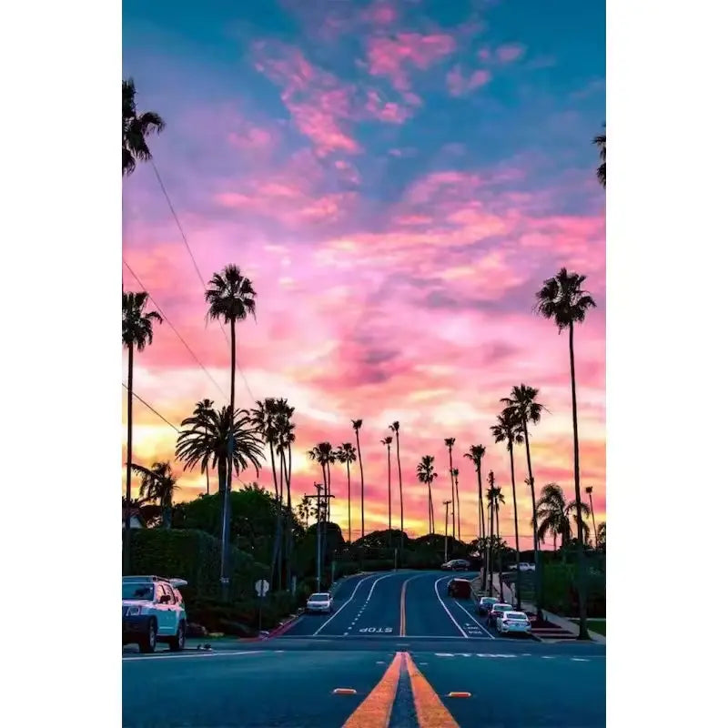 Rue bordée de palmiers au coucher de soleil