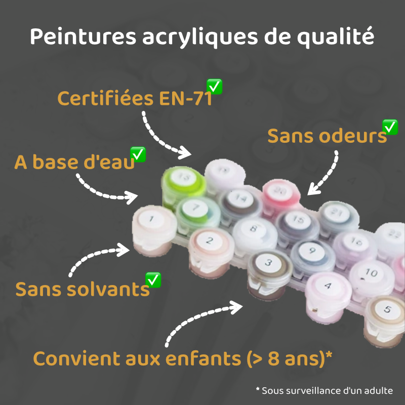 Kits de peintures par numéros - Qualité certifiée de la peinture acrylique